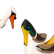 Illustration for article titled OMG, Bird Shoes!